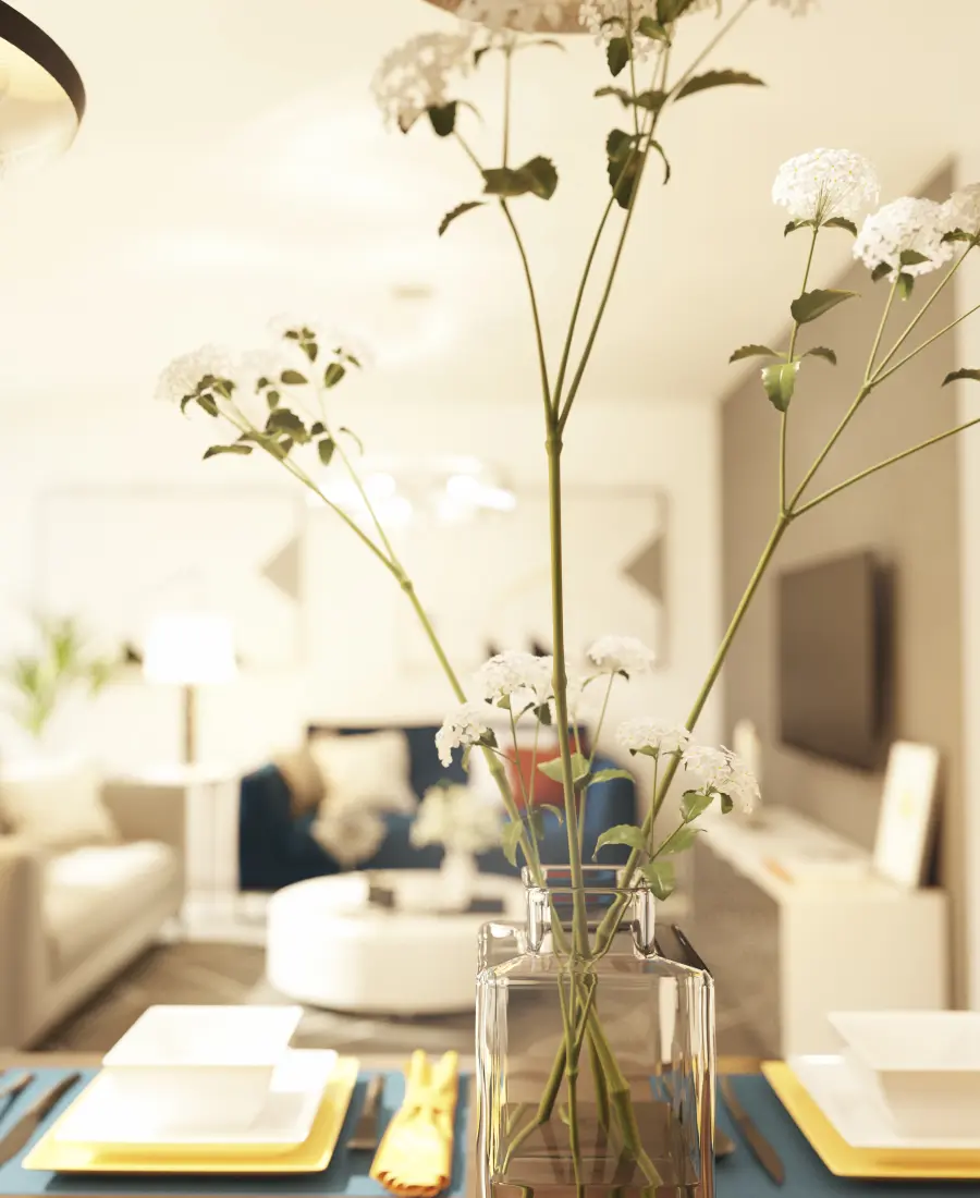 Semi-furnished finishing 3