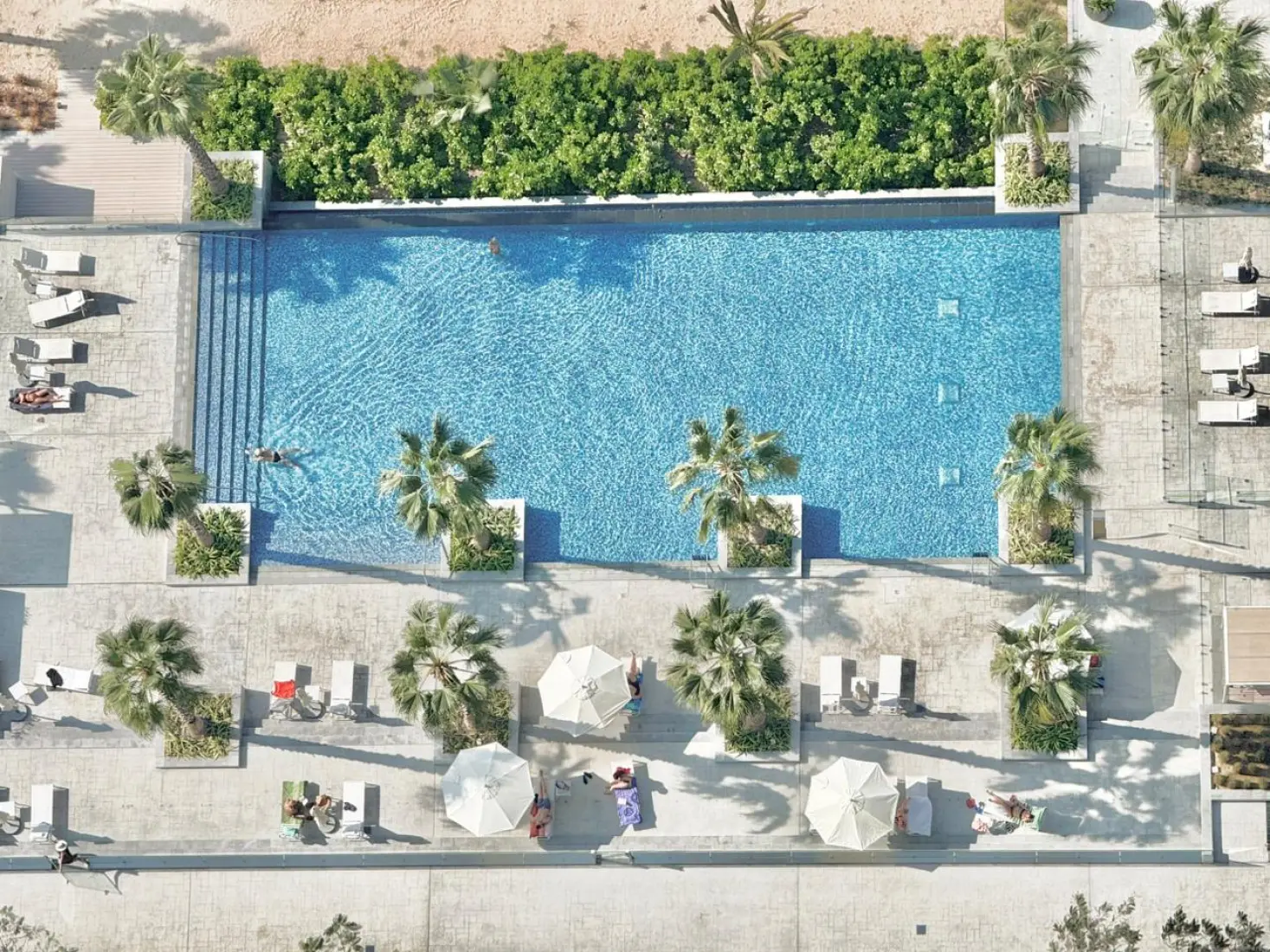 Layout Image