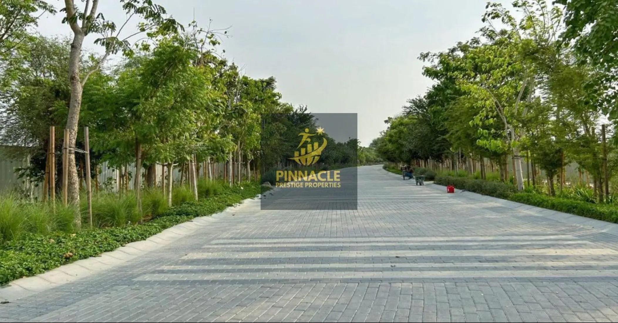 Layout Image