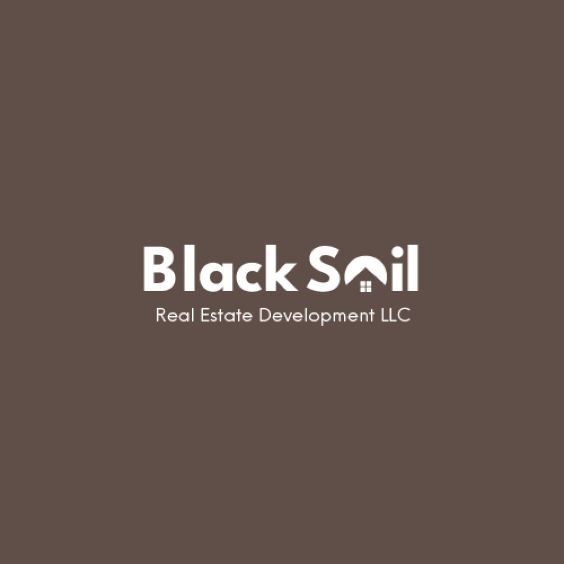 BlackSoil Real Estate Development LLC FirstPoint Real Estate